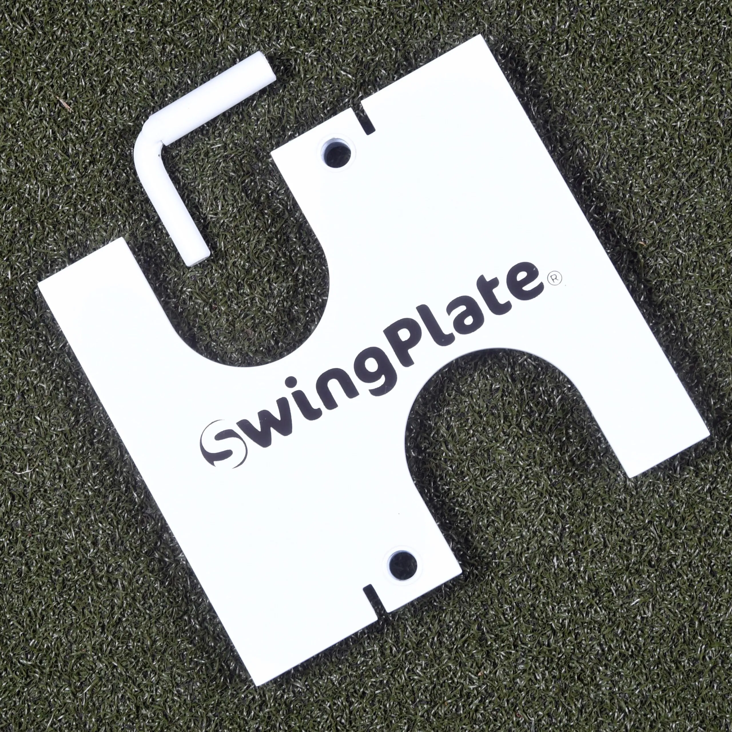 Swing Plate Putting Gate Training Aid